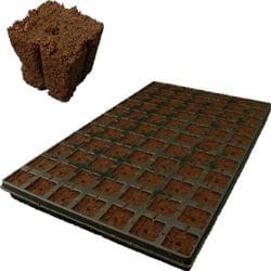 Eazy Plug 77 Stk. - Saatschale Growshop -sklep ogrodniczy we Wrocławiu, Warszawie i Poznaniu