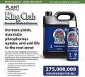 Plant Success Königskrabbe 946 ml – 275 Millionen nützliche Bakterien (1)  Growshop -sklep ogrodniczy we Wrocławiu, Warszawie i Poznaniu