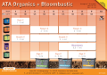 Atami BLOOMBASTIC 50 ml – Blühstimulator und Booster  Growshop -sklep ogrodniczy we Wrocławiu, Warszawie i Poznaniu