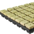 Grodan Mineralwolle-Tablett (77 Stk.) 3,5x3,5cm  Growshop -sklep ogrodniczy we Wrocławiu, Warszawie i Poznaniu