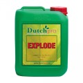 DutchPro Explode 5L  Growshop -sklep ogrodniczy we Wrocławiu, Warszawie i Poznaniu