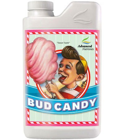 BUD CANDY 250 ml – liefert Magnesium Growshop -sklep ogrodniczy we Wrocławiu, Warszawie i Poznaniu