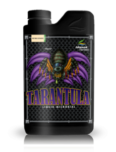Vogelspinne 500 ml