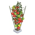 Gerüst für Pflanzen 45 cm – Pflanzenstütze  Growshop -sklep ogrodniczy we Wrocławiu, Warszawie i Poznaniu