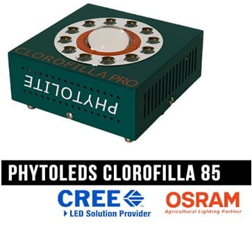 Phytolite Clorofilla LED-Lampe 80W Growshop -sklep ogrodniczy we Wrocławiu, Warszawie i Poznaniu