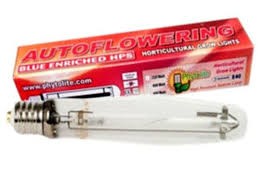 Phytolite HPS 400W Autoflowering-Glühbirne Growshop -sklep ogrodniczy we Wrocławiu, Warszawie i Poznaniu