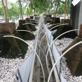 Eazy Plug Pyramid 4,8L  Growshop -sklep ogrodniczy we Wrocławiu, Warszawie i Poznaniu