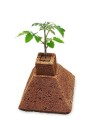 Eazy Plug Pyramid 4,8L  Growshop -sklep ogrodniczy we Wrocławiu, Warszawie i Poznaniu