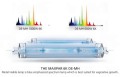 MH DE Nanolux Maxpar Lampe 600W - 6K  Growshop -sklep ogrodniczy we Wrocławiu, Warszawie i Poznaniu