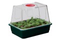 Gewächshaus mit Belüftung 23x17xH18cm  Growshop -sklep ogrodniczy we Wrocławiu, Warszawie i Poznaniu