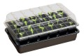 Gewächshaus 37,5 x 23 x H16 cm, 24 Sämlinge, 2,2 l Tank  Growshop -sklep ogrodniczy we Wrocławiu, Warszawie i Poznaniu