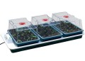 Gewächshaus 80x41x H20,5cm, 3 Gewächshäuser + beheiztes Tablett  Growshop -sklep ogrodniczy we Wrocławiu, Warszawie i Poznaniu