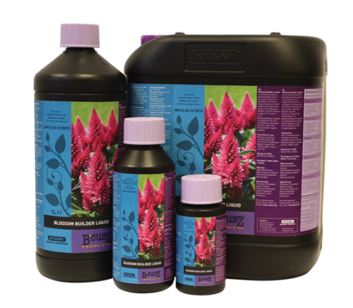 Atami B'Cuzz Blossom Builder 1L – ein Stimulator, der die Blütenmasse erhöht Growshop -sklep ogrodniczy we Wrocławiu, Warszawie i Poznaniu