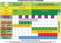 DutchPro Hydro/Coco Grow A+B 1L (AUTOMATISCHE BLÜTE)  Growshop -sklep ogrodniczy we Wrocławiu, Warszawie i Poznaniu