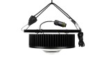 FireSun 150W – COB-LED-Lampe für Wachstum und Blüte