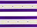 Lumatek Zeus LED 1000W Xtreme PPFD CO2  Growshop -sklep ogrodniczy we Wrocławiu, Warszawie i Poznaniu