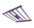 Lumatek LED ZEUS PRO 2.9 600W - LED-Lampe für den Pflanzenanbau  Growshop -sklep ogrodniczy we Wrocławiu, Warszawie i Poznaniu