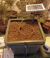 GHE Autonomes Hydroponiksystem AquaFarm 45L + Solarpanel  Growshop -sklep ogrodniczy we Wrocławiu, Warszawie i Poznaniu