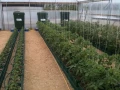 AutoPot Easy2Grow 8,5 l – 4 Töpfe + 47 l Tank  Growshop -sklep ogrodniczy we Wrocławiu, Warszawie i Poznaniu