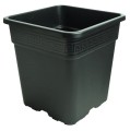 WILMA XXL 5, 115x115x20cm/150L - Hydrokultur-Set  Growshop -sklep ogrodniczy we Wrocławiu, Warszawie i Poznaniu