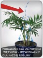 CO2-Boost-Generator – Kartusche  Growshop -sklep ogrodniczy we Wrocławiu, Warszawie i Poznaniu
