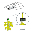 Elektronisches Thermometer/Hygrometer mit Steckdosenhalterung  Growshop -sklep ogrodniczy we Wrocławiu, Warszawie i Poznaniu