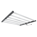 LUMii BLACK 720W LED - Panel ohne Netzteil  Growshop -sklep ogrodniczy we Wrocławiu, Warszawie i Poznaniu