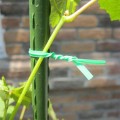 Gartendraht 100 Stk. - in 25 cm lange Stücke geschnitten  Growshop -sklep ogrodniczy we Wrocławiu, Warszawie i Poznaniu