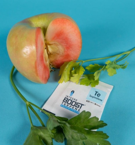 Integra Boost 4g 62 % Terpene Essentials Terpinolen Growshop -sklep ogrodniczy we Wrocławiu, Warszawie i Poznaniu
