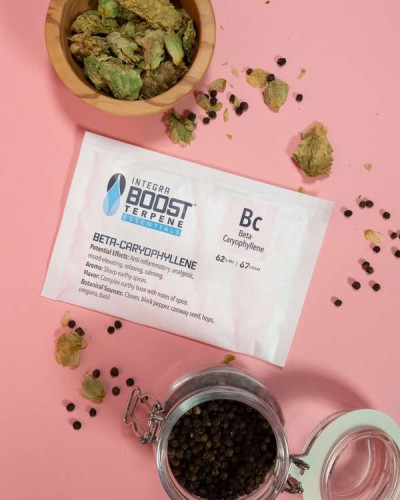Integra Boost 67 g 62 % Terpene Essentials Cariophylen Growshop -sklep ogrodniczy we Wrocławiu, Warszawie i Poznaniu
