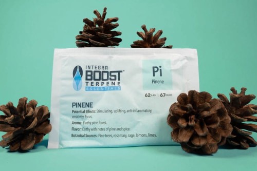 Integra Boost 67 g 62 % Terpene Essentials Pinen Growshop -sklep ogrodniczy we Wrocławiu, Warszawie i Poznaniu