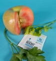 Integra Boost 67 g 62 % Terpene Essentials Terpinolen  Growshop -sklep ogrodniczy we Wrocławiu, Warszawie i Poznaniu