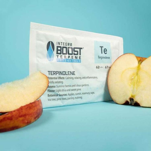 Integra Boost 67 g 62 % Terpene Essentials Terpinolen Growshop -sklep ogrodniczy we Wrocławiu, Warszawie i Poznaniu