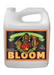 BLOOM 10L pH-PERFEKTE FORMEL