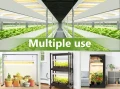 Spider Farmer SF300 33W Osram 60cm (empfohlen für Setzlinge)  Growshop -sklep ogrodniczy we Wrocławiu, Warszawie i Poznaniu