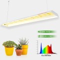 Spider Farmer SF600 74W Osram 100cm (empfohlen für Setzlinge)  Growshop -sklep ogrodniczy we Wrocławiu, Warszawie i Poznaniu