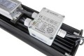Heidelbeere GROW LED Mini 160W  Growshop -sklep ogrodniczy we Wrocławiu, Warszawie i Poznaniu