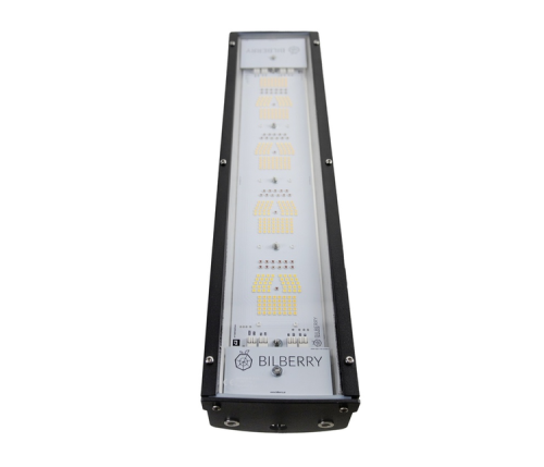 Heidelbeere GROW LED Mini 160W Growshop -sklep ogrodniczy we Wrocławiu, Warszawie i Poznaniu