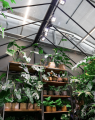 VERTICANA® Glühbirne 35W | SCHWARZ | 15°-Objektiv  Growshop -sklep ogrodniczy we Wrocławiu, Warszawie i Poznaniu