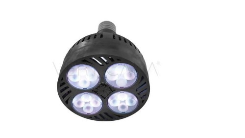 VERTICANA® Glühbirne 35W | SCHWARZ | 15°-Objektiv Growshop -sklep ogrodniczy we Wrocławiu, Warszawie i Poznaniu