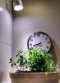 VERTICANA® Glühbirne 35W | WEISS | 45°-Objektiv  Growshop -sklep ogrodniczy we Wrocławiu, Warszawie i Poznaniu