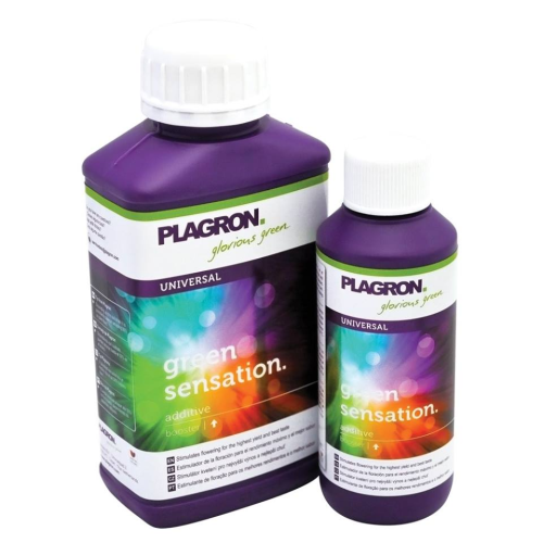 Plagron Green Sensation 5L - Blühstimulator, reiche Ernte, bester Geschmack Growshop -sklep ogrodniczy we Wrocławiu, Warszawie i Poznaniu