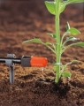 Micro-Drip – Verstellbarer Endtropfer  Growshop -sklep ogrodniczy we Wrocławiu, Warszawie i Poznaniu