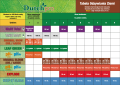 DutchPro Multi Total 250ml  Growshop -sklep ogrodniczy we Wrocławiu, Warszawie i Poznaniu